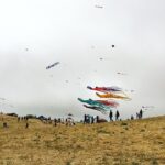 480px Berkeley Kite Festival Yak and Yeti Movers