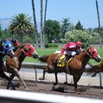 640px Photo Quarter Horse Racing Yak and Yeti Movers